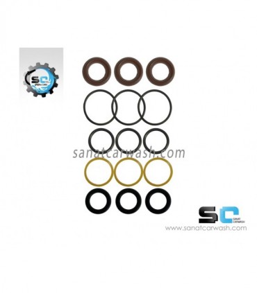 پک پکینگ پمپ برتولینی 110 بار اصلی