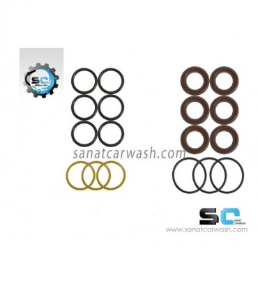 پک پکینگ پمپ برتولینی 200 بار اصلی