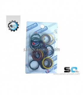 پک پکینگ پمپ برتولینی 200 بار